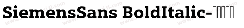 SiemensSans BoldItalic字体转换